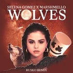 cover: Selena Gomez - Wolves