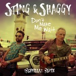 cover: Shaggy - Don't Make Me Wait