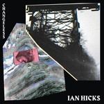 cover: Ian Hicks - Character Collapse