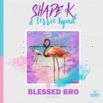 cover: Shade K|Terrie Kynd - Blessed Bro