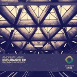 cover: Andrew Lang - Endurance/In The Ditch