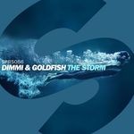 cover: Dimmi|Goldfish - The Storm