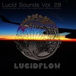 cover: Mrs Robot|Various - Lucid Sounds Vol 28 (A Fine & Deep Sonic Flow Of Club House, Electro, Minimal & Techno) (unmixed Tracks)