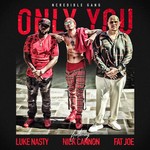 cover: Dj Luke Nasty|Fat Joe|Ncredible Gang|Nick Cannon - Only You