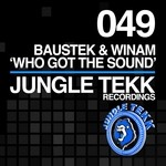 cover: Baustek|Winam - Who Got The Sound