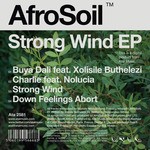 cover: Afrosoil - Strong Wind EP