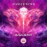 cover: Various - Awakening