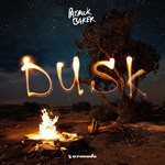 cover: Patrick Baker - Dusk