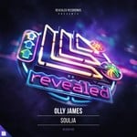 cover: Olly James - Soulja