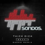 cover: Thick Dick - Tweakin'