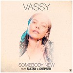 cover: Sultan + Shepard|VASSY - Somebody New