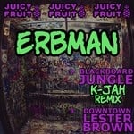 cover: Erbman - Blackboard Jungle