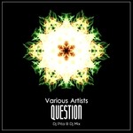 cover: Dj Pita B|Various - Question (unmixed tracks)