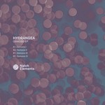 cover: Hydrangea - Osmosis