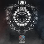 cover: Fury - Nature