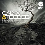 cover: Calyx|Calyx & Teebee|Teebee - Scavenger / Stepping Stones