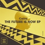 cover: Caiiro - The Future Is Now