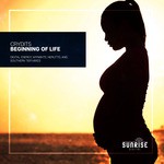 cover: Crydits - Beginning Of Life