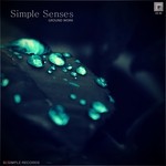 cover: Ground Work - Simple Senses