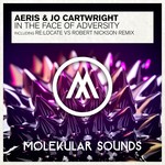 cover: Aeris|Jo Cartwright - In The Face Of Adversity