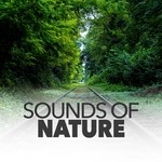 cover: Sounds Of Nature - Sounds Of Nature