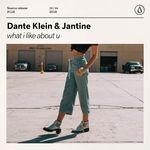 cover: Dante Klein|Jantine - What I Like About U