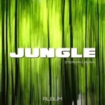 cover: Stephan Crown - Jungle