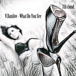 cover: V.danilov - What Do You See