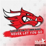 cover: Eufeion & S3rl|Harri Rush - Never Let You Go