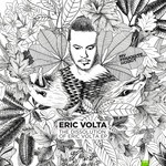 cover: Eric Volta - The Dissolution Of Eric Volta EP