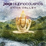 cover: Pogo & Hypnocoustics - Shiva Valley