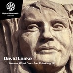 cover: David Laake - Knows What You Are Thinking