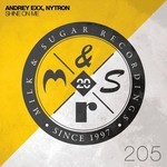 cover: Andrey Exx & Nytron - Shine On Me