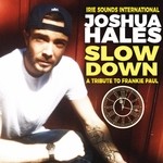 cover: Joshua Hales - Slow Down