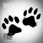 cover: Blaze Sulinski - Black Dog