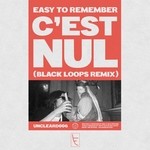 cover: Easy To Remember|Elia Perrone|Niro Perrone - C'est Nul