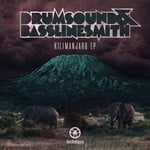 cover: Drumsound & Bassline Smith - Kilimanjaro EP