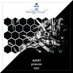 cover: Amih - Pneuos