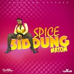 cover: Spice - Siddung (Explicit)