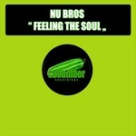 cover: Nu Bros - Feeling The Soul