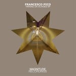 cover: Francesco Pico - Taming Da Echoes EP