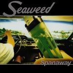 cover: Seaweed - Spanaway