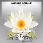 cover: Markus Schulz - Markus Schulz Presents In Bloom EP Vol 1