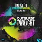 cover: Project 8 - Terracotta Warrior