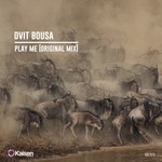 cover: Dvit Bousa - Play Me