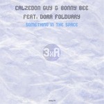 cover: Bonny Bee|Calzedon Guy|Dora Foldvary - Something In The Space