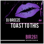 cover: Dj Breeze - Toast To This