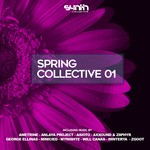 cover: Various - Spring Collective 01