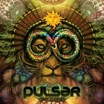 cover: Pulsar - 8th Life