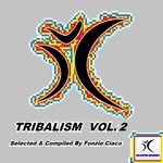 cover: Various - Tribalism Vol 2